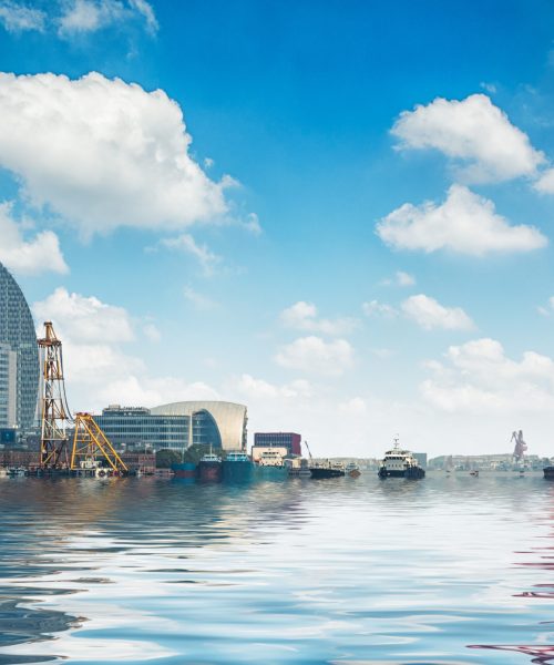 Business district cityscape from a park with blue sky